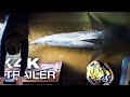 THRASH Official Trailer 2026 Shark Attack Film