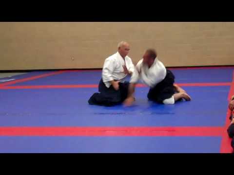 Chiba Sensei at 2010 Camp: Shomenuchi ikkyo
