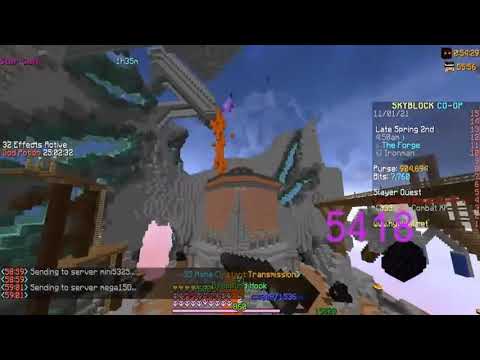 DOGGO DROPS THE RAREST ITEM IN HYPIXEL SKYBLOCK (ROCK...
