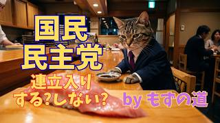国民民主党はなぜ連立入りしないのか？国民民主党が握る最後のカード  ~AI猫もずの道~