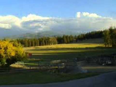 The Marmalade Evenings Shadows 1970 Demo