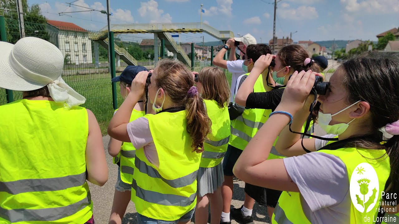 Il était une fois dans le Parc naturel régional de Lorraine... « Pas de printemps sans Hirondelles »