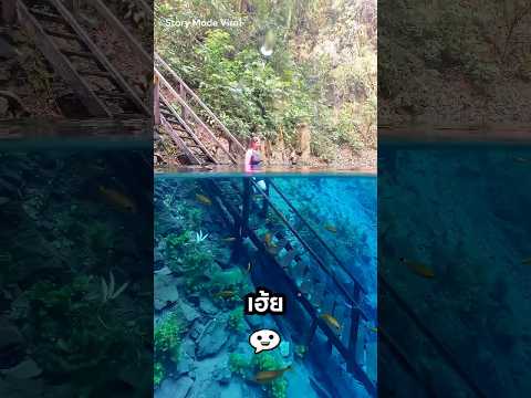 แหล่งน้ำสุดแปลกรอบโลก! ที่ไหนลงเล่นได้บ้าง✅🚫