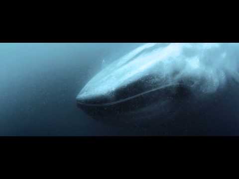 Raving George - Monodon Monoceros EP (Teaser)