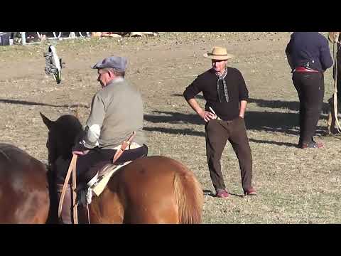 Crespo Matías Reinoso 2026   Categ  Basto   Jineteada   Campo de la Tradición   12   7   2026