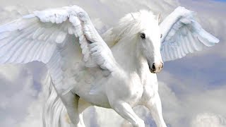 ☆ Na křídlech Pegasů - Grog ☆ [HD]