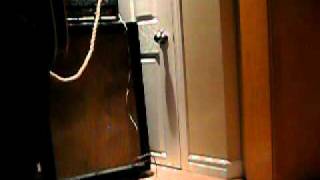 Video thumbnail for DANELECTRO DS100 by johnnyangel69