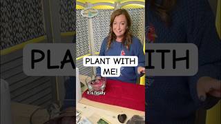 PLANTING INDOOR GARDENS. PLANT WITH ME! #indoorgardening