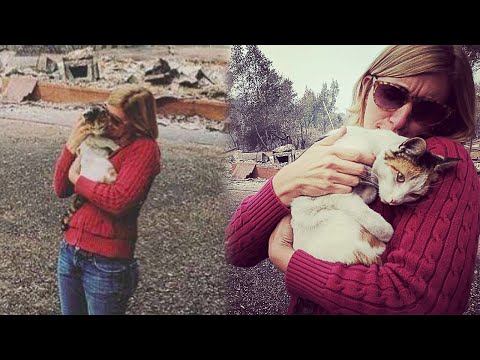 Woman Returns To Her Burned-Out House And Finds Missing Cat