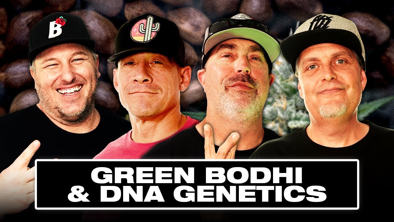 DNA Genetics & Bodhi: World Famous Breeders Join Forces, Secret Strains, Rare Genetics