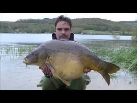 Reservoir carp vibes met Bram Drost en Martijn Verweij