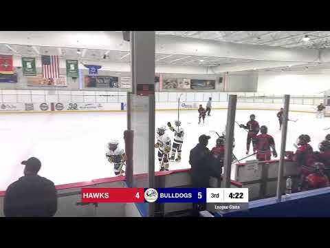 2025-26 SAHOF 12U-A Hockey Florida Bulldogs vs PB Hawks 9/7/25