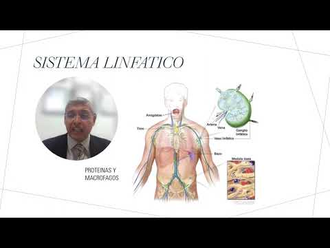 Marco Antonio Ayala García-22