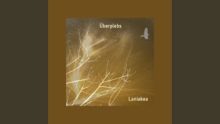 Metamorphosis Music Video
