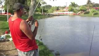 preview picture of video 'Pescando bagre pesqueiro do sindicato dos metalúrgicos em Hortolândia.'