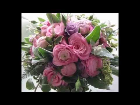 download lagu mp3 mp4 Go Dutch Flowers, download lagu Go Dutch Flowers gratis, unduh video klip Go Dutch Flowers