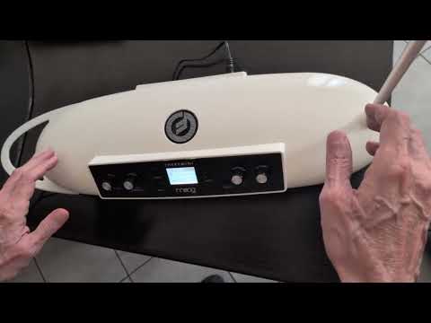 Moog Theremin 2015 - Bianco image 11