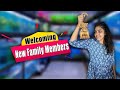 My New Aquarium Setup Buying New Fishes For Aquarium Hema S Diary