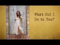 Anne Bosko - What Did I Do (ft. Raul Malo of The Mavericks) (Lyric Video)
