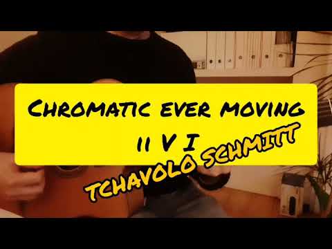 Gypsy Jazz - Chromatic Ever Moving ii V I - Tchavolo Schmitt - What A Difference A Day Made