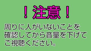 【音量注意】SOSのモールス信号もどき作ってみた