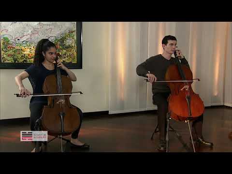 CELLO MASTERCLASS- ALEXANDER TECHNIQUE BONES AND SCALES STRUCTURE - excerpt