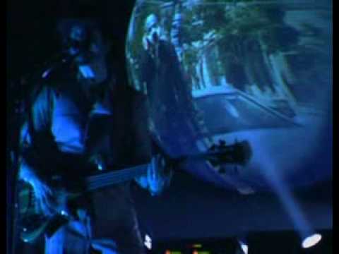 Primus - To Defy the Laws of Tradition (Hallucino Genetics Live 2004)
