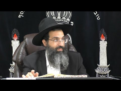 הלכות ריבית - ד' - עד היכן איסור ריבית 💰 יורה דעה - סימן קס | חלק 110 | הרב שי עובד