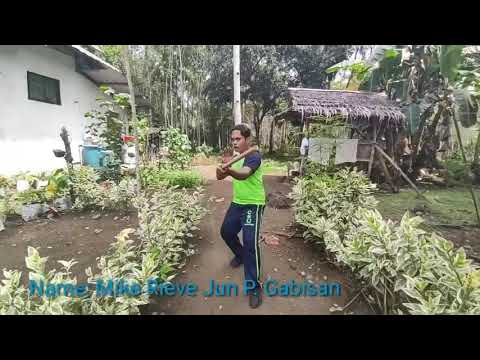 Arnis / Anyo 1 & Anyo 2