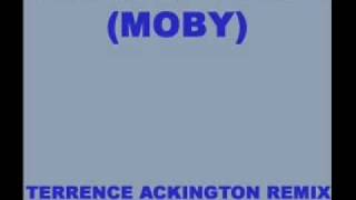 Moby - Voodoo Child - Higher (Terrence Ackington Remix)