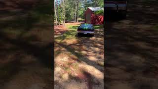 1969 AMC AMX - Driving