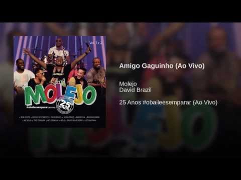 Amigo Gaguinho (Ao Vivo)