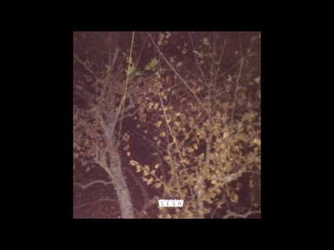 06. Kodyak - Fell Into Yesterday