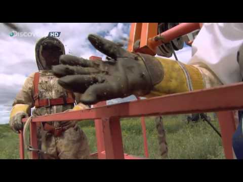 Ryzykanci   Specjaliści od usuwania pszczół LEK PL