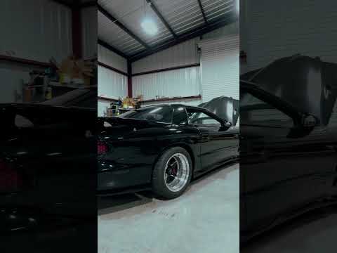 Trans Am