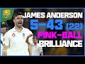 What A Spell Anderson Takes Five With Pink Ball Brilliance