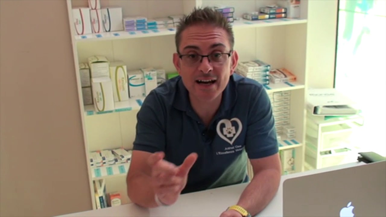 Come calcolare la dose corretta di mangime per il tuo cane