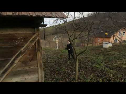 Palatca prin noiembrie