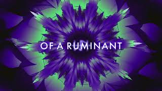 Of a Ruminant Music Video