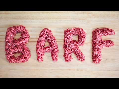 Warum ich kein Fan der Barf-Diät bin