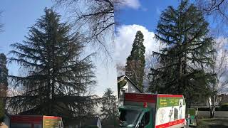 Album cover: Videos from Urban Climbers Tree Service 