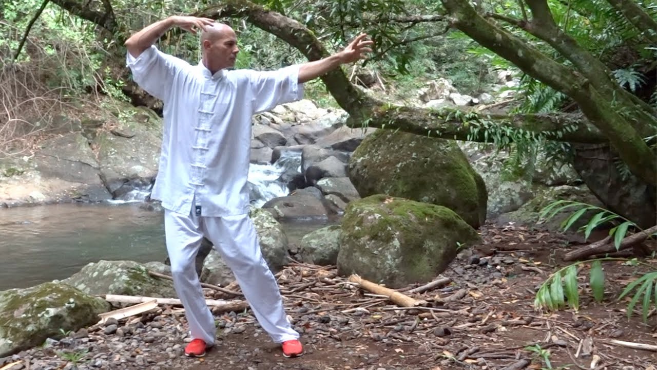 Les 18 mouvements du Tai Ji Qi Gong - Forme 1 or Tai Chi Qigong 18 Shibashi - Set 1