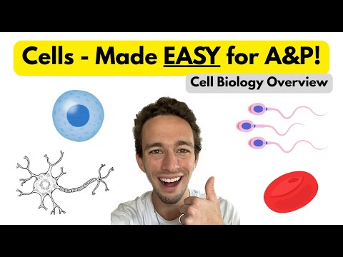 The Ultimate Cell Biology Review for Anatomy & Physiology Students