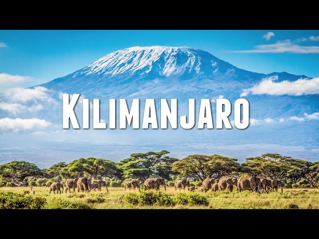 הגיית וידאו של Mount Kilimanjaro בשנת אנגלית