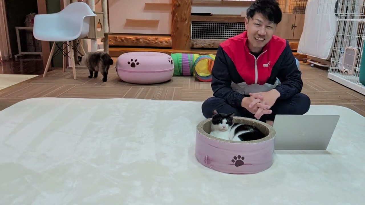 保護子猫まもるトライアル決定！壮行会ライブ