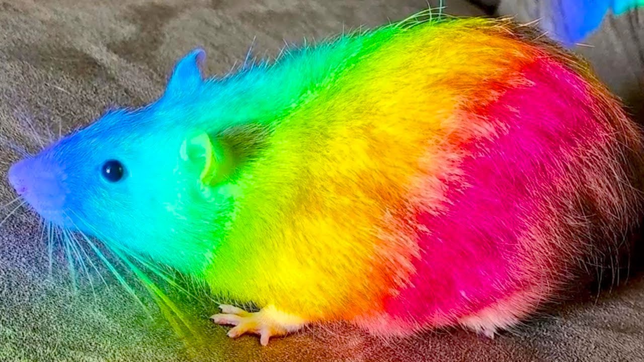 Фотографии, которые изменят ваш взгляд на мир