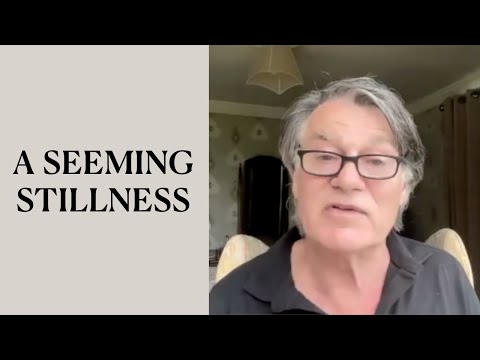 A Seeming Stillness