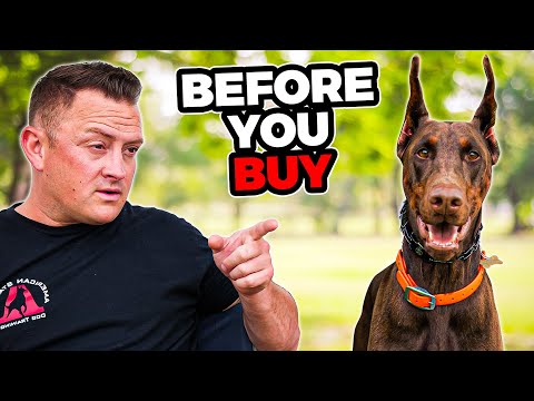 Is the DOBERMAN Right For You?