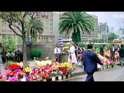 Johannesburg in 1962 [60FPS HQ] South Africa in the 1960's - British Pathé