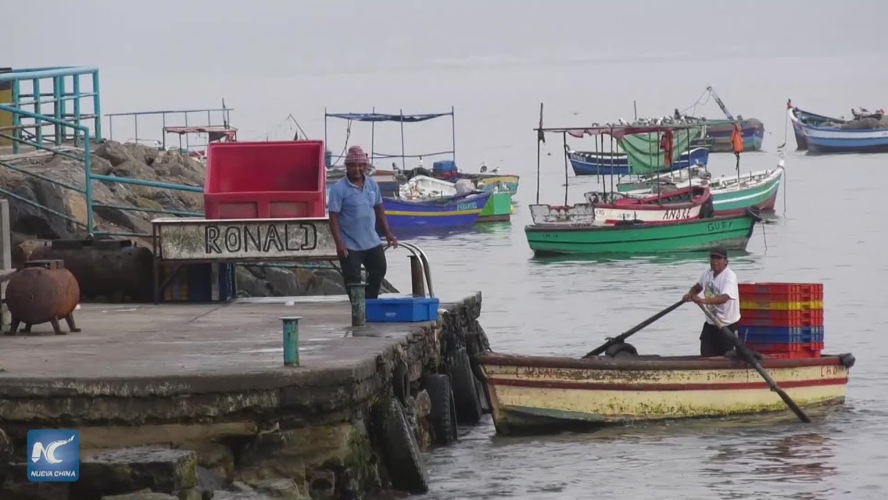 Exportaciones de Perú crecen 20% entre enero y octubre de 2025
